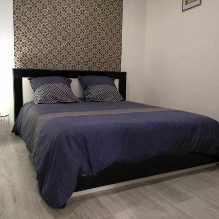 Joli petit logement en centre ville de Brioude Extérieur photo